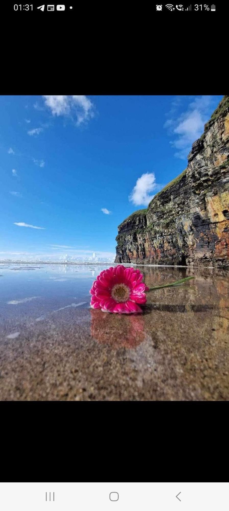 Luxury Holiday Rental With Sea Views On The Wild Atlantic Way Tralee Extérieur photo